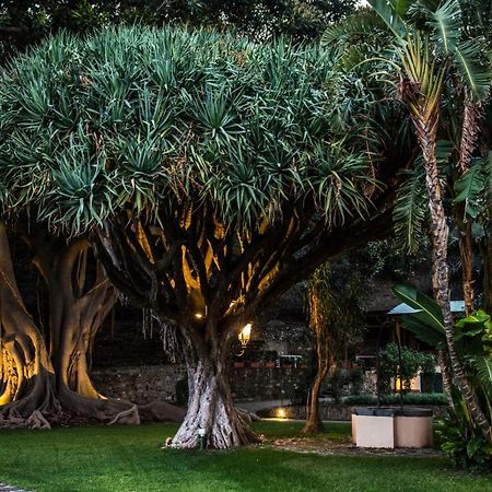 Villa Pulejo مسينا المظهر الخارجي الصورة
